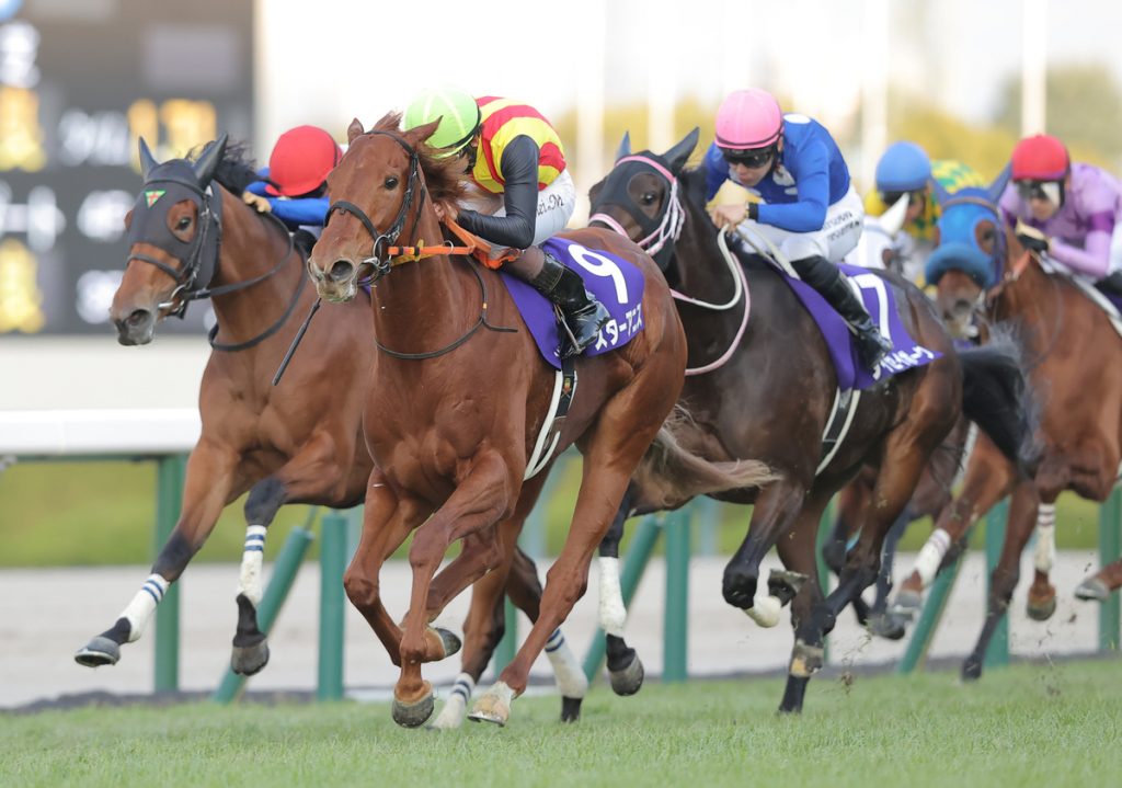 Hanshin Juvenile Fillies