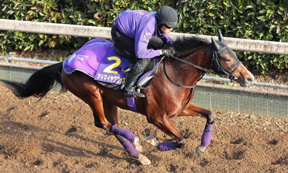 Asahi Hai Futurity Stakes