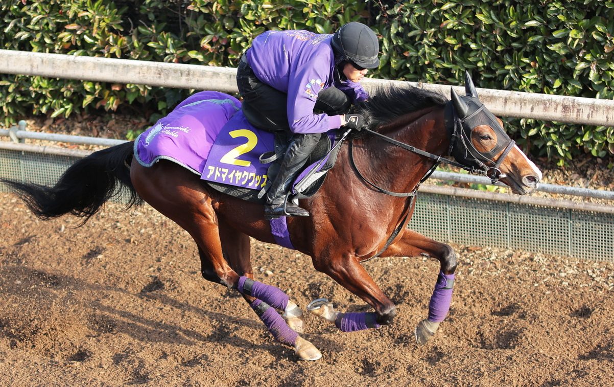 Asahi Hai Futurity Stakes