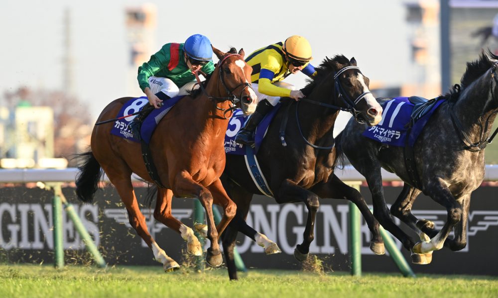 Japan Cup