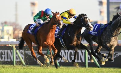 Japan Cup