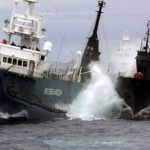 Anti-whalers clash with Japan's whaling fleet