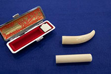 A Japanese "Hanko" stamp made from a sperm whale tooth, available at Oshika Whale Land